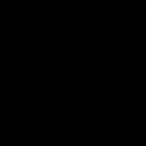 Meet your Posher, Joanie